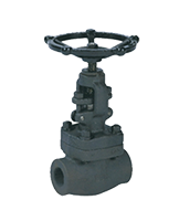 GLOBE VALVE CLASS 1500, A105N vtfg-gl